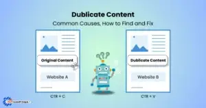 Dublicate Content Issue in SEO